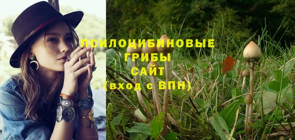 бутират Арсеньев