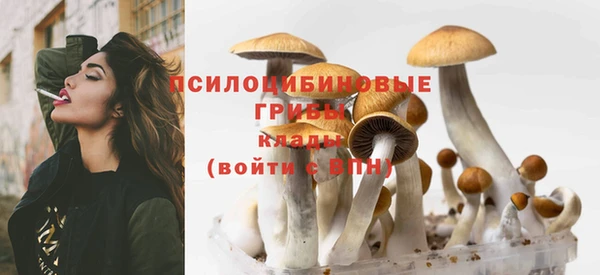 метадон Армянск