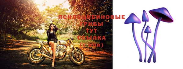 бутират Арсеньев