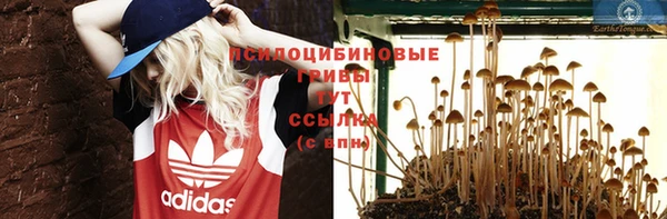 мдпв Лагань